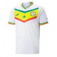 Senegal Fotballklær Hjemmedrakt VM 2022 Kortermet